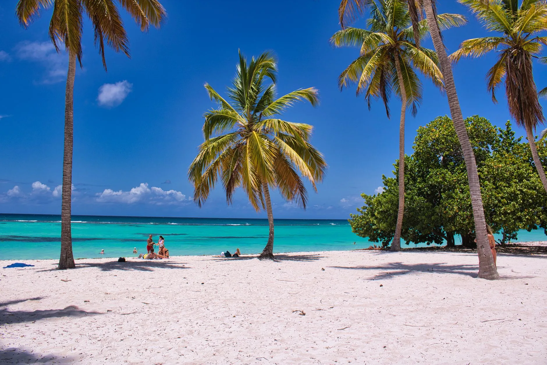 Jour 6 : plages du sud, Les Salines et Sainte-Anne