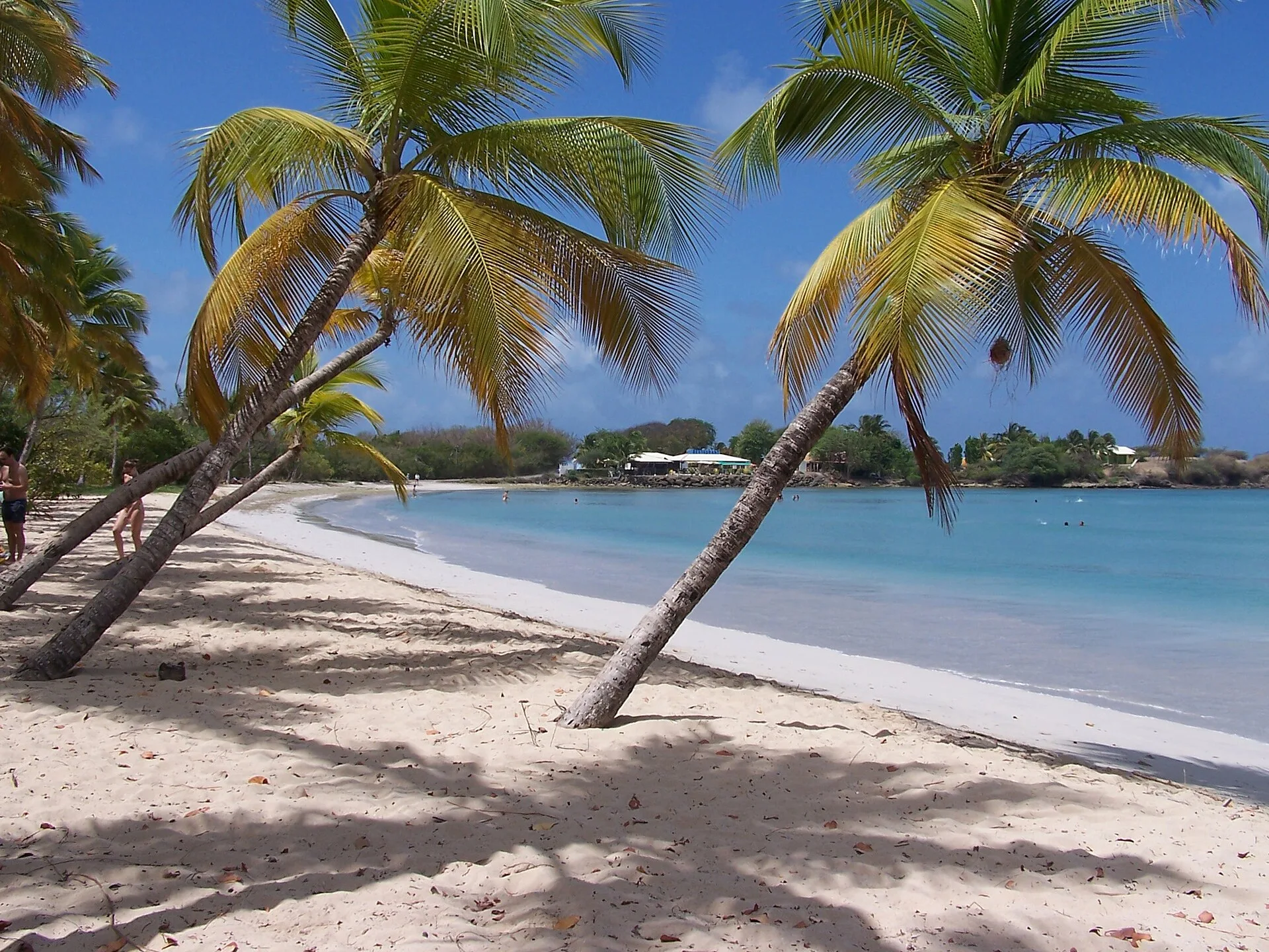 La Grande Anse des Salines : la plage emblématique du sud