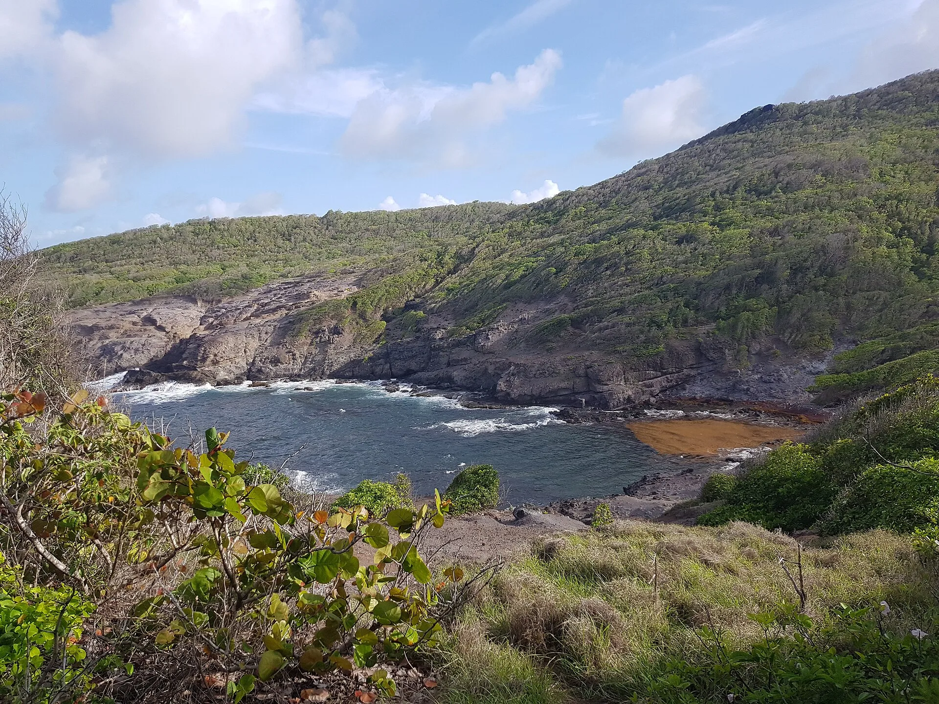 La presqu'île de la Caravelle : mer, mangrove et falaises