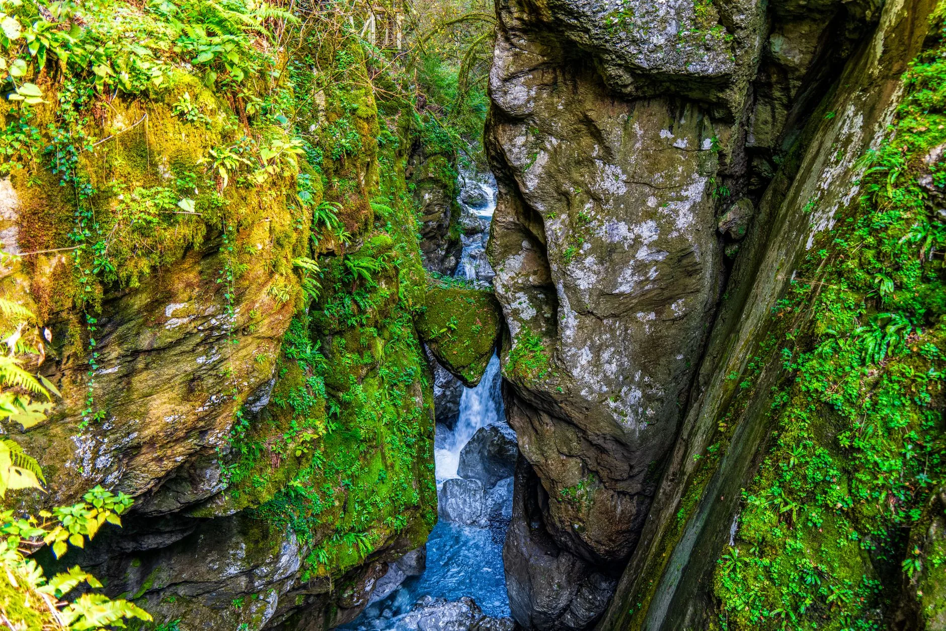Les gorges de la Falaise : marcher dans un canyon de verdure